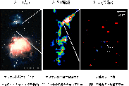 [Optical/Radio/X-ray images of Orion nebula]