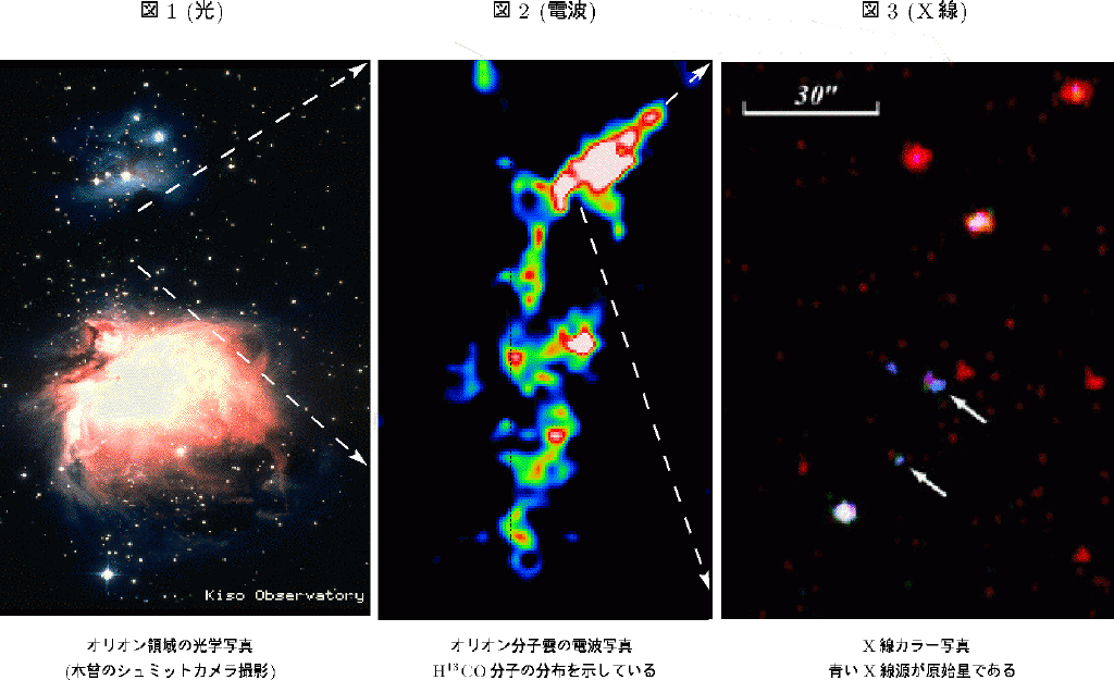Optical/Radio/X-ray Image
of the Orion molecular Cloud 2 and 3